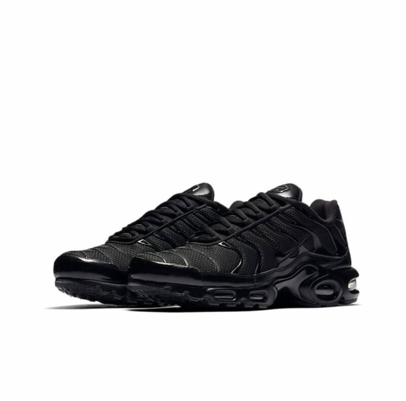 Кроссовки Nike Air Max Plus TN