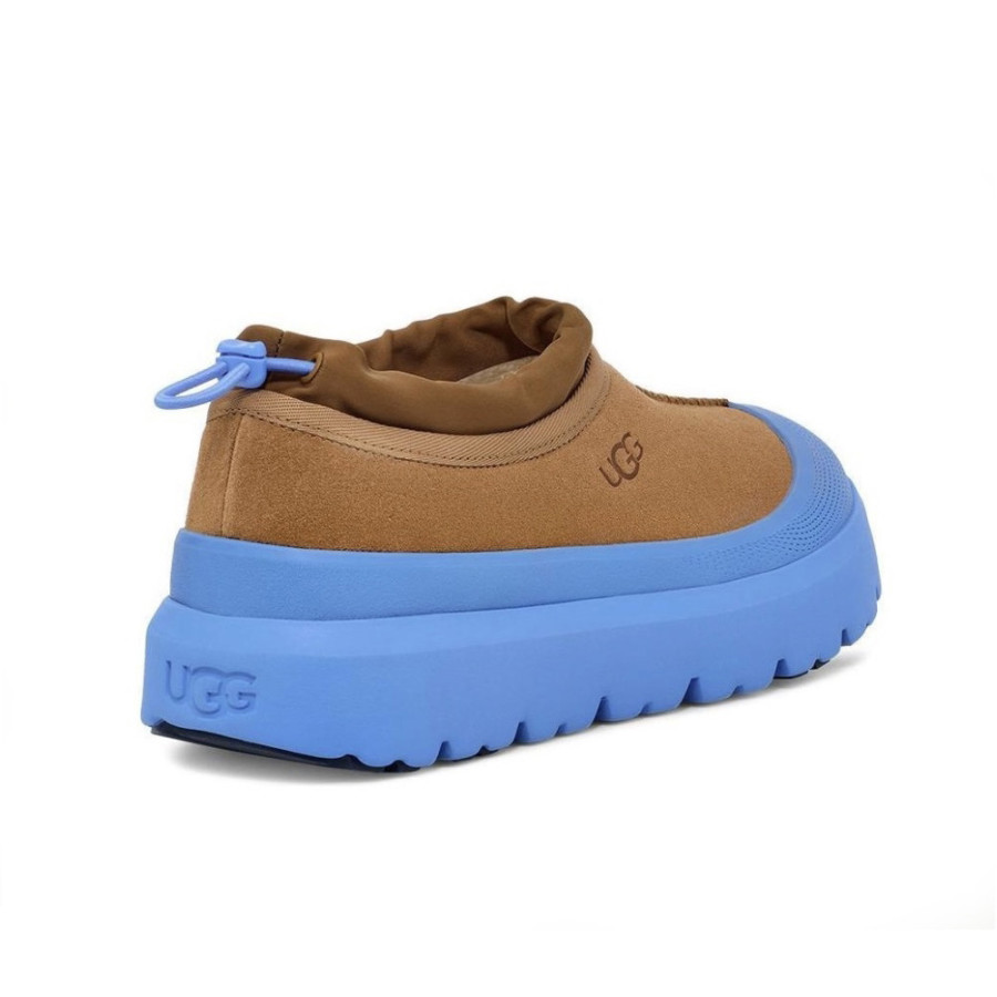 Коричневые мужские угги UGG Tasman Weather Hybrid со встроенной синей галошей